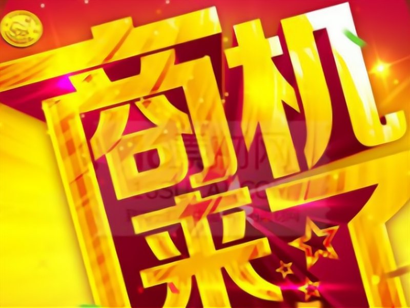 在2026年,哪些加盟项目有望成为市场的宠儿?我们通过对比分析,带你了解当前热门行业的优势与劣势。