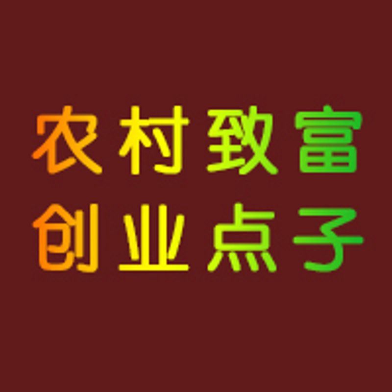 2026年,哪些加盟项目有望成为最热门的创业选择?让我们一起看看它们各自的优势与劣势。